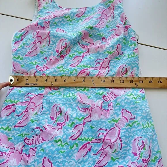 Lilly Pulitzer Pink and Blue Mini Dress - Picture 11 of 12